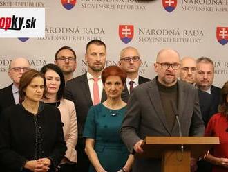 Odborník na politiku prirovnal správanie SaS k mimovládnej strane