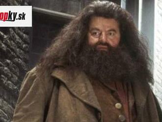 Šok pre fanúšikov Harryho Pottera: Zomrel milovaný Hagrid!