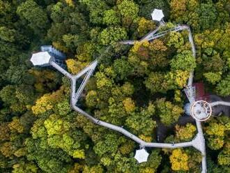 Národní park Hainich: Bukový prales za humny