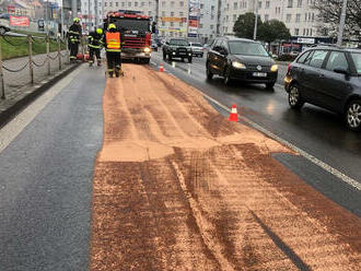 Jednotka ze stanice Teplice zlikvidovala sorbentem olejovou skvrnu v Hrázní ulici v Teplicích.…