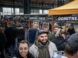 V Ostravě se jedly žáby, hadi i zebry. Na Food Extrem festivalu se stály fronty