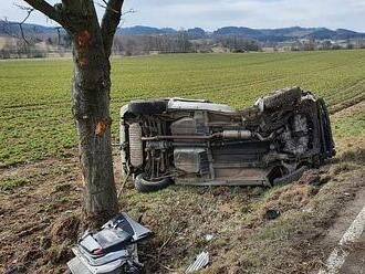 Stromy jako postrach řidičů. V zimě střetů s nimi přibývá, následky jsou fatální