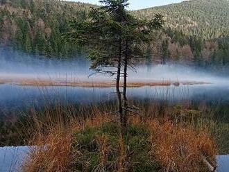 V Německu budou turisté za parkování platit. Na Šumavě hledají jinou cestu