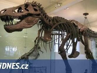 Tyranosaurus znovu překvapil, podle nových výpočtů mohl být větší a těžší