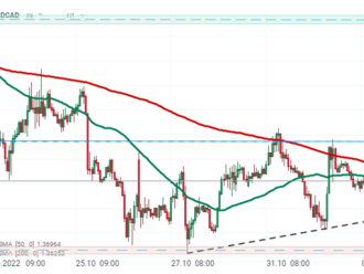 USD smíšené po pozitivních datech NFP