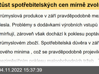 Růst spotřebitelských cen mírně zvolní  