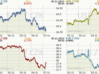 Koruna bez obtíží zvládla zasedání ČNB