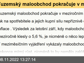 Tuzemský maloobchod pokračuje v meziročním poklesu