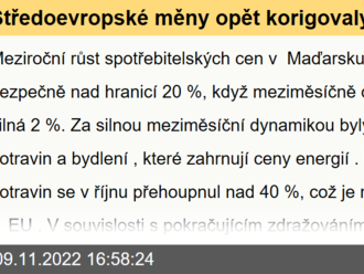 Středoevropské měny opět korigovaly zisky z předchozích dní  