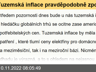 Tuzemská inflace pravděpodobně zpomalila díky vládním opatřením  