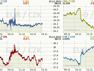 Koruna se pohybuje v okolí 24,30 CZK/EUR