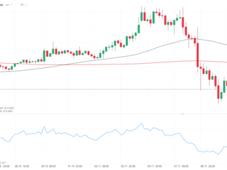 Wall Street a Fed budou testovat digitální měnu. Kryptoměny se odrážejí ode dna