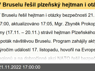 V Bruselu řešil plzeňský hejtman i otázky bezpečnosti