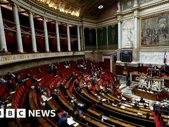 French parliament stopped over 'racist' remark