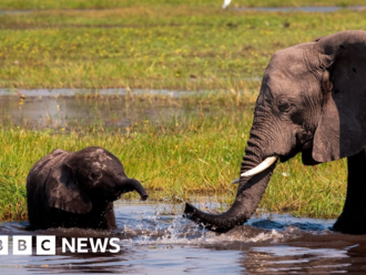 The Namibian oil project being called a sin