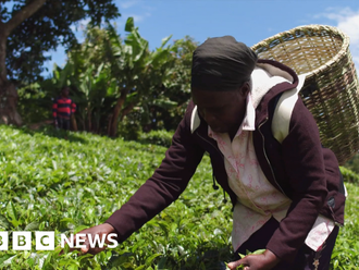 Tea company driver 'tried to run over' Kenyan farm worker