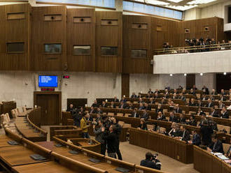 Poslanci prelomili veto prezidentky, schválili novelu zákona o profesionálnych náhradných rodičoch