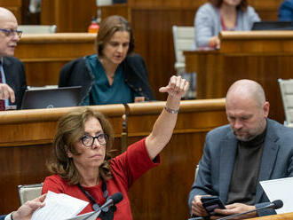 Situácia sa pre Mikulca komplikuje: Poslanci SaS budú mať zelenú kartu. Viskupič aj Krúpa budú za jeho odvolanie