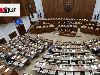 Verejný ochranca práv bude môcť zostať vo funkcii až do jeho výmeny, rozhodol parlament