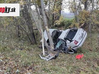 Tragická nehoda: Auto vletelo do stromu, zostal z neho len šrot! O život prišli dvaja ľudia