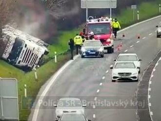 Strašné! Na D1 sa PREVRÁTILO auto, prevážalo 63 BÝKOV. Diaľnica bola uzatvorená + VIDEO