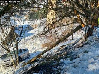 ŠOKUJÚCE odhalenie tragickej nehody, pri ktorej zomreli dve deti: Otec nemal VODIČÁK! FOTO