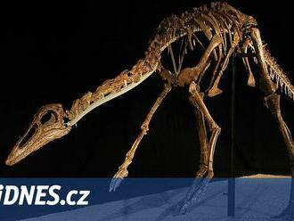 Soutěž o nejrychlejší dinosaury se zamotává. Vědci šampiony zpomalili