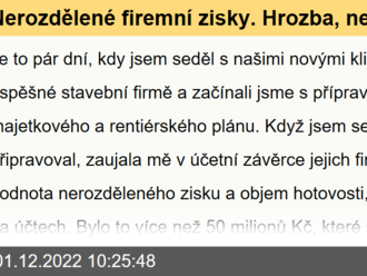 Nerozdělené firemní zisky. Hrozba, nebo výzva?