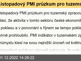 Listopadový PMI průzkum pro tuzemský zpracovatelský průmysl hlásí, že aktivita v tomto sektoru české ekonomiky pokračuje v poklesu