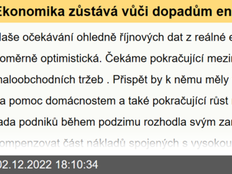 Ekonomika zůstává vůči dopadům energetické krize odolná  