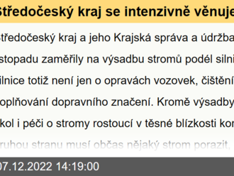 Středočeský kraj se intenzivně věnuje výsadbě stromů podél silnic