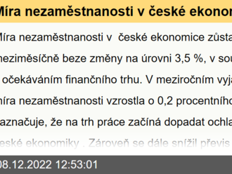 Míra nezaměstnanosti v české ekonomice zůstala v listopadu meziměsíčně beze změny