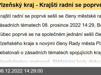 Plzeňský kraj - Krajští radní se poprvé sešli se členy městské rady k debatě o zásadních tématech