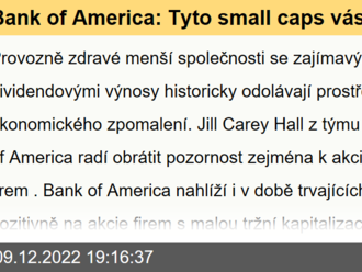 Bank of America: Tyto small caps vás odmění svými výnosy a obstojí v prostředí ekonomického zpomalení