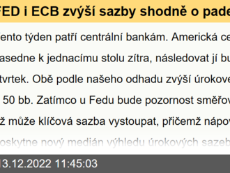 FED i ECB zvýší sazby shodně o padesát bazických bodů  