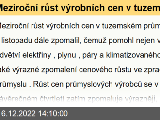 Meziroční růst výrobních cen v tuzemském průmyslu se v listopadu dále zpomalil