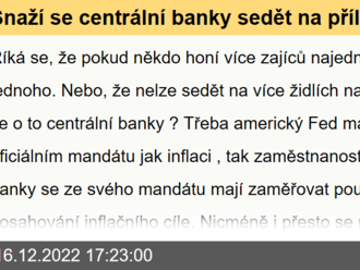 Snaží se centrální banky sedět na příliš mnoha židlích najednou?