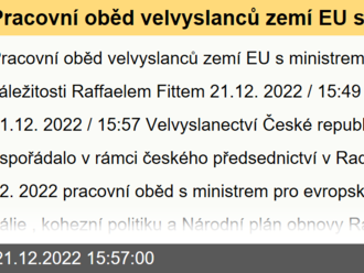 Pracovní oběd velvyslanců zemí EU s ministrem pro evropské záležitosti Raffaelem Fittem