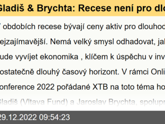 Gladiš Brychta: Recese není pro dlouhodobé investory rizikem, ale příležitostí