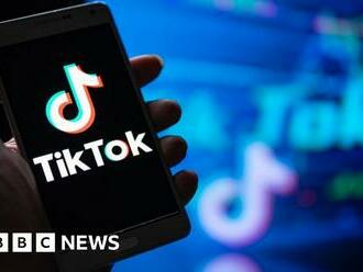 TikTok Invisible Challenge: Nigerians warned against naked video trend