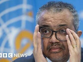 Eritrean troops murdered my uncle - WHO head Tedros