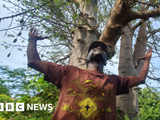 The Senegal man on a mission to plant five million trees