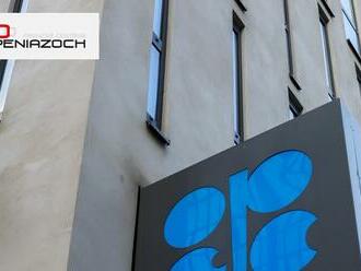 Na trhu je neistota: Aliancia producentov OPEC+ sa rozhodla ponechat tazbu bez zmeny