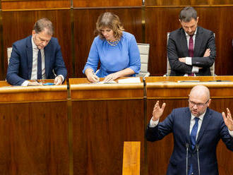 Politológ: Za krach vlády môže Kollár a Matovič. Hra na „spasiteľa“ je nebezpečná