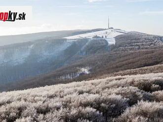 Karpaty nám miznú pred očami: Každú hodinu prídu pre ťažbu dreva o štyri hektáre!