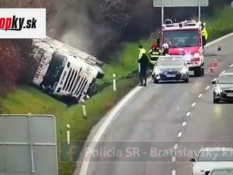 VIDEO Masaker na ceste! Na diaľnici D1 v smere do Bratislavy sa prevrátilo auto s býkmi