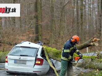 AKTUÁLNE Hraničný priechod v Drietome je približne na hodinu neprejazdný