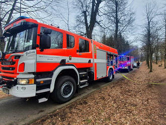 Ohniště rozhořelé po předchozím pálení klestí v Náchodě dohašovali místní profesionální a…