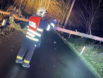 Dobrovolní hasiči z Boletic nad Labem vyjeli k pádu stromu na silnici vedoucí do části Velká Veleň.…