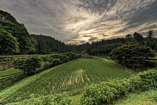 Agroturistika v Japonsku